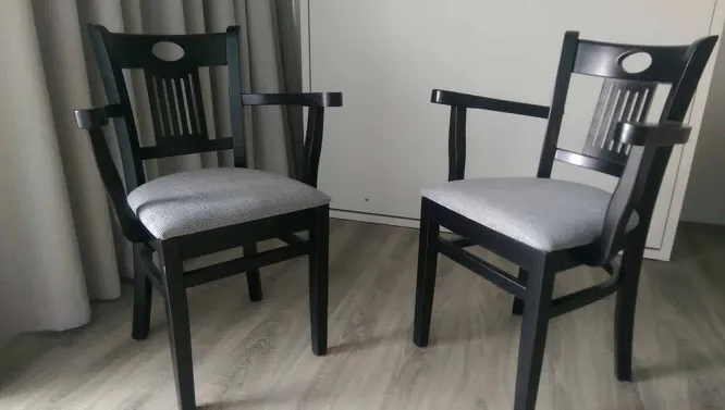 Miniatură 1