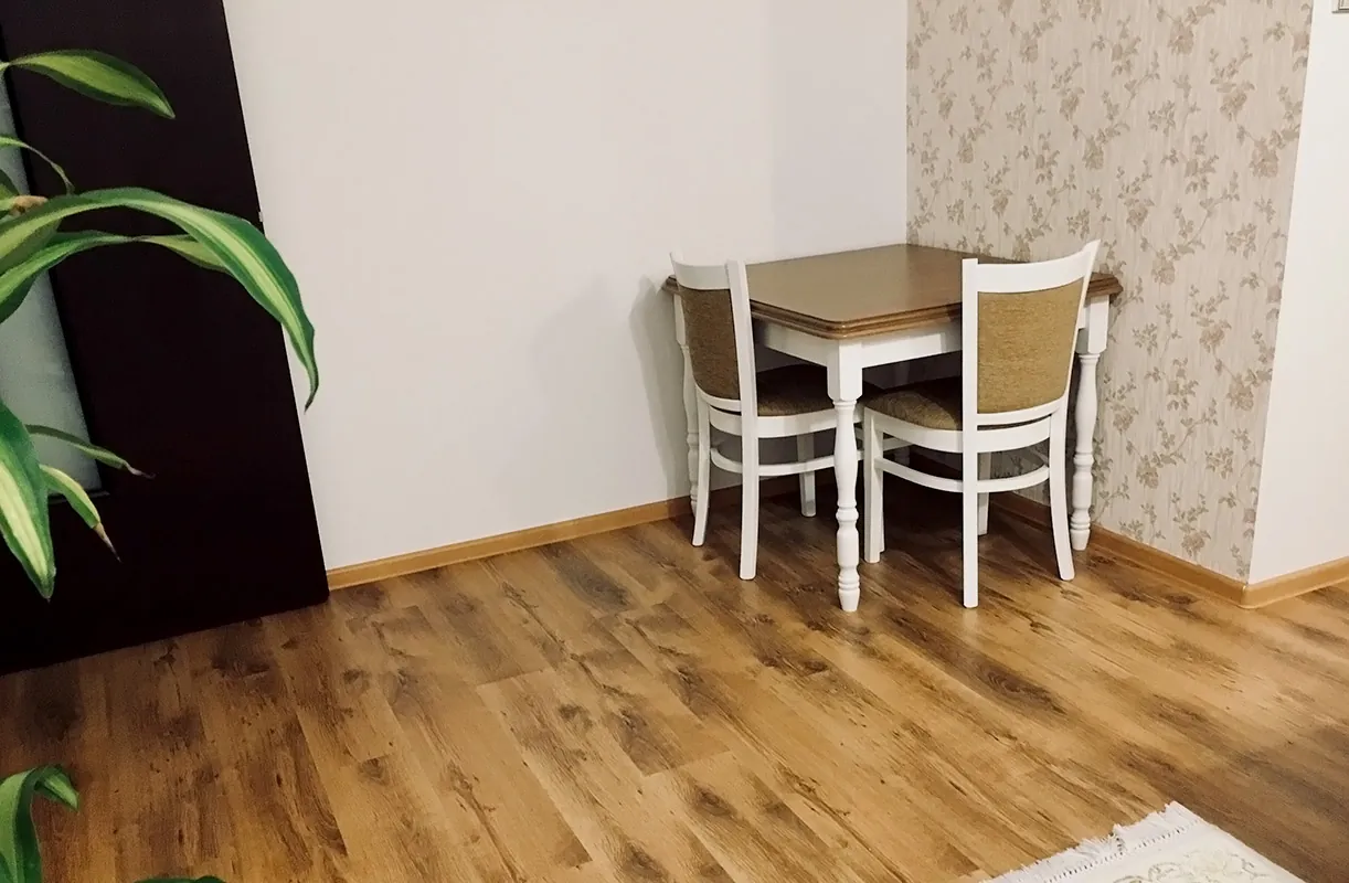Miniatură 1