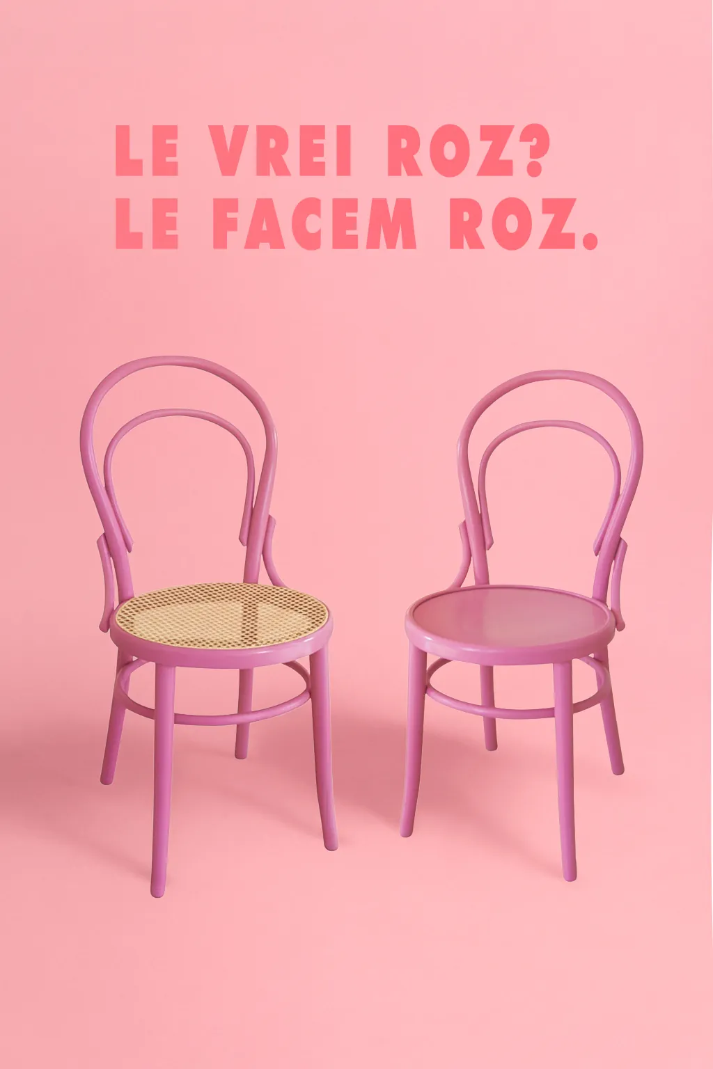 Miniatură 2